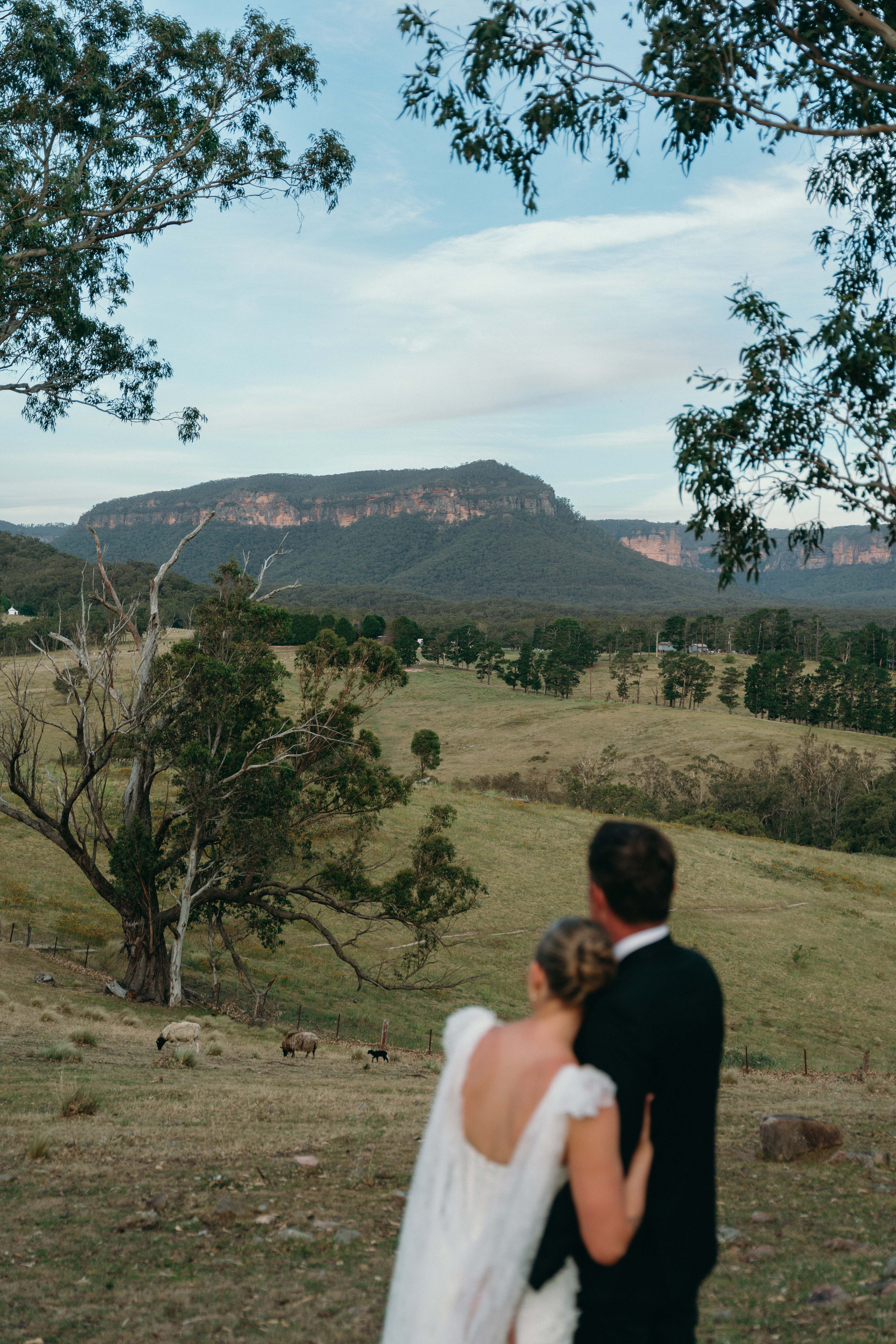 Wedding portrait