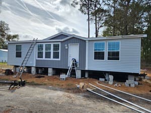 Land clearing/tree removal in Clay County