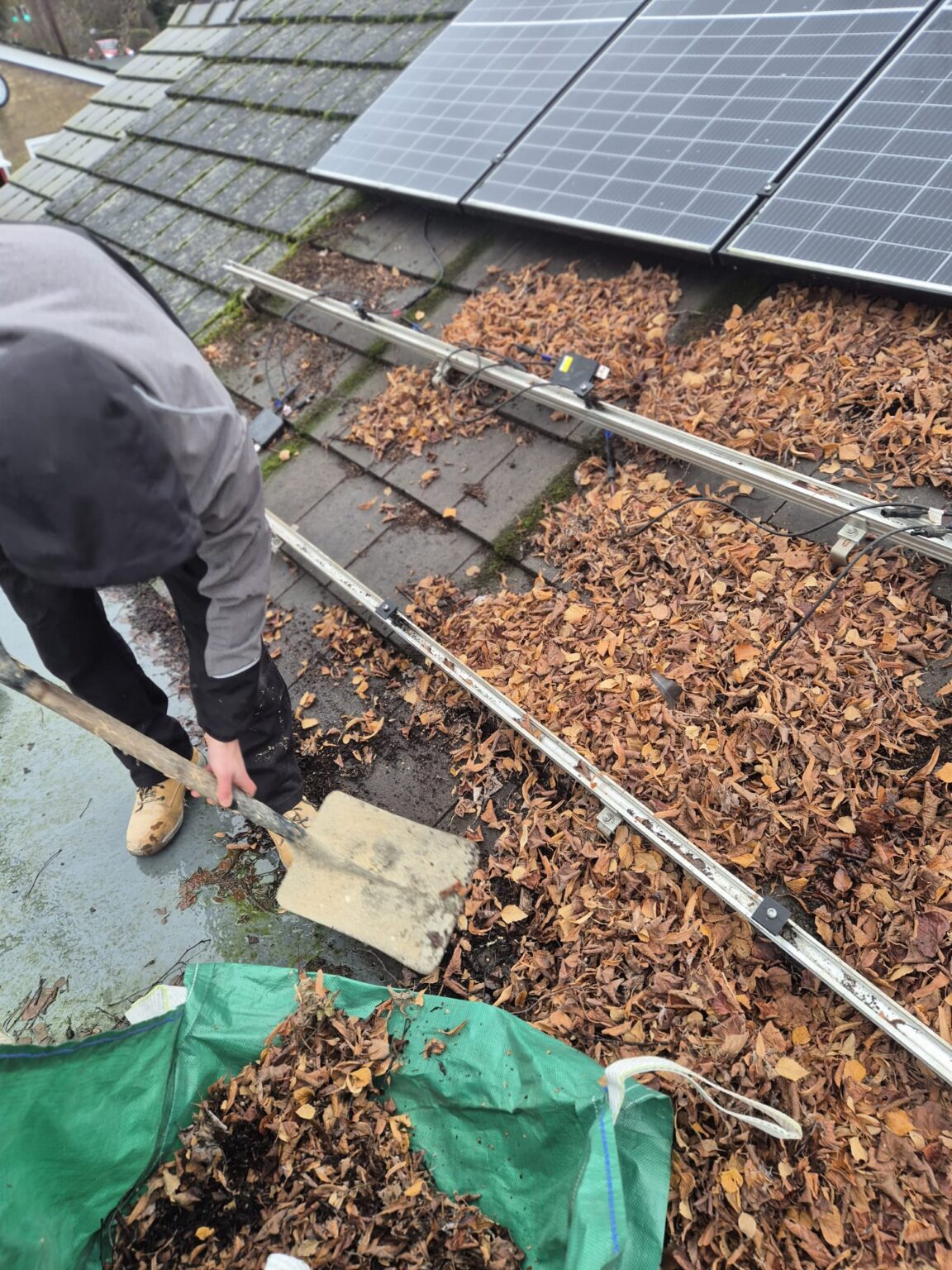 Weekly Win: Solar PV System Restored After Major Debris Build-Up