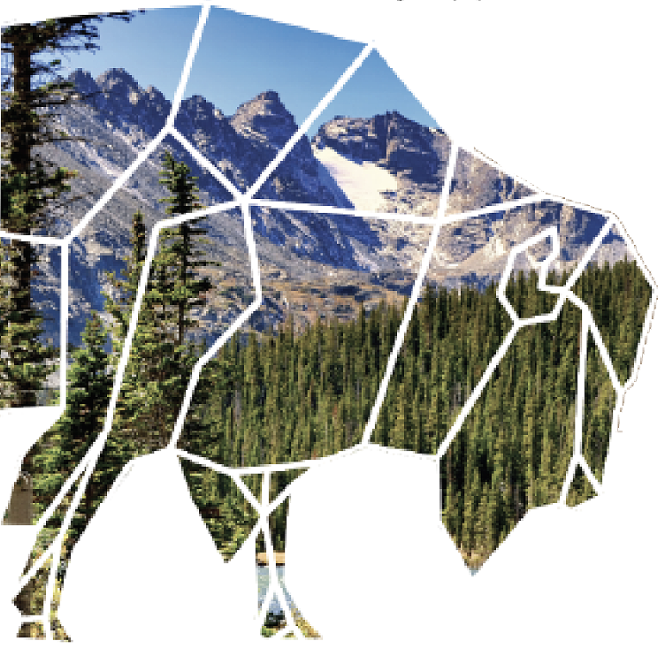 Genesee Nutrition Bison