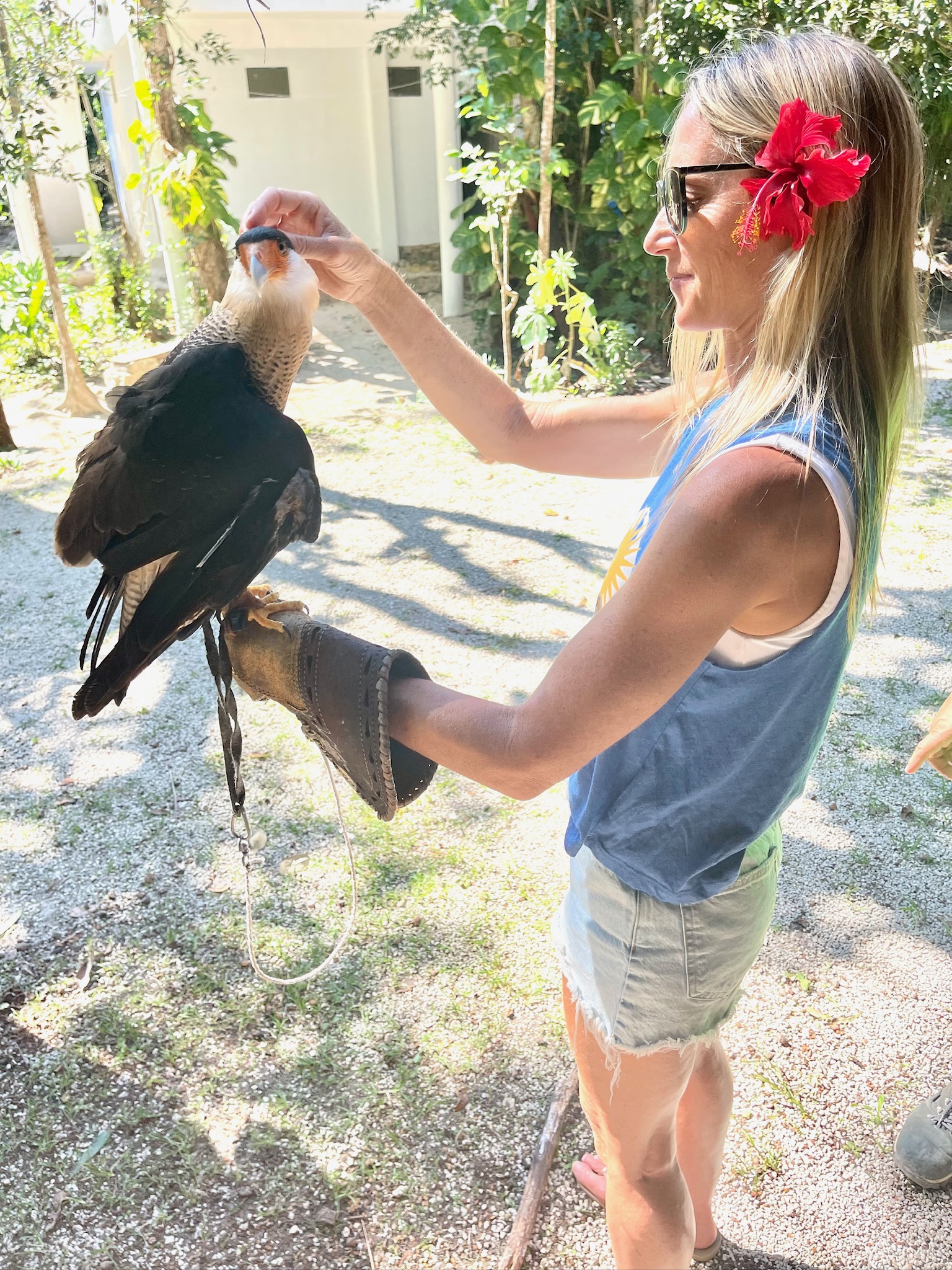 Animal rescue in the jungle