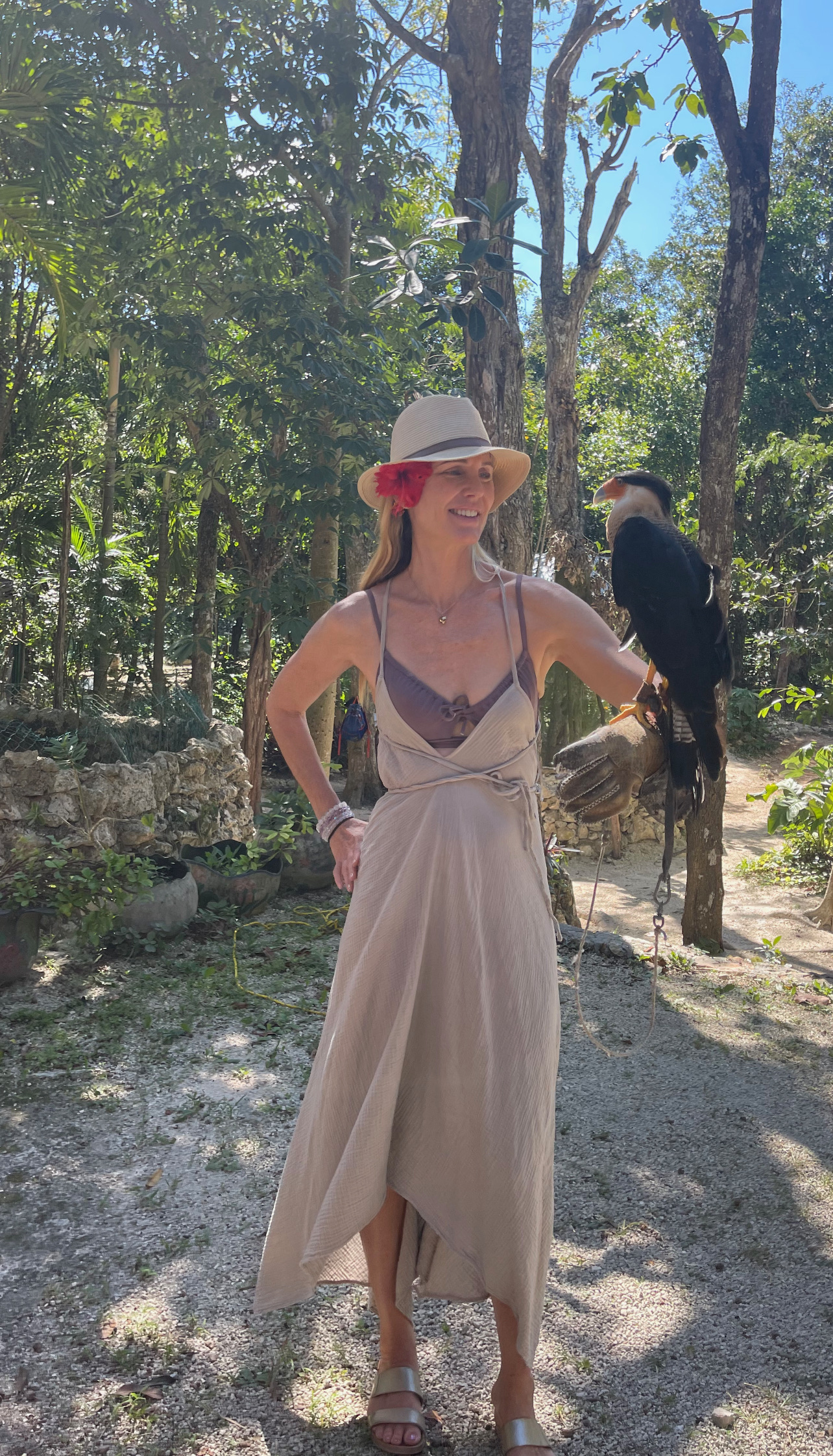 Animal rescue in the jungle