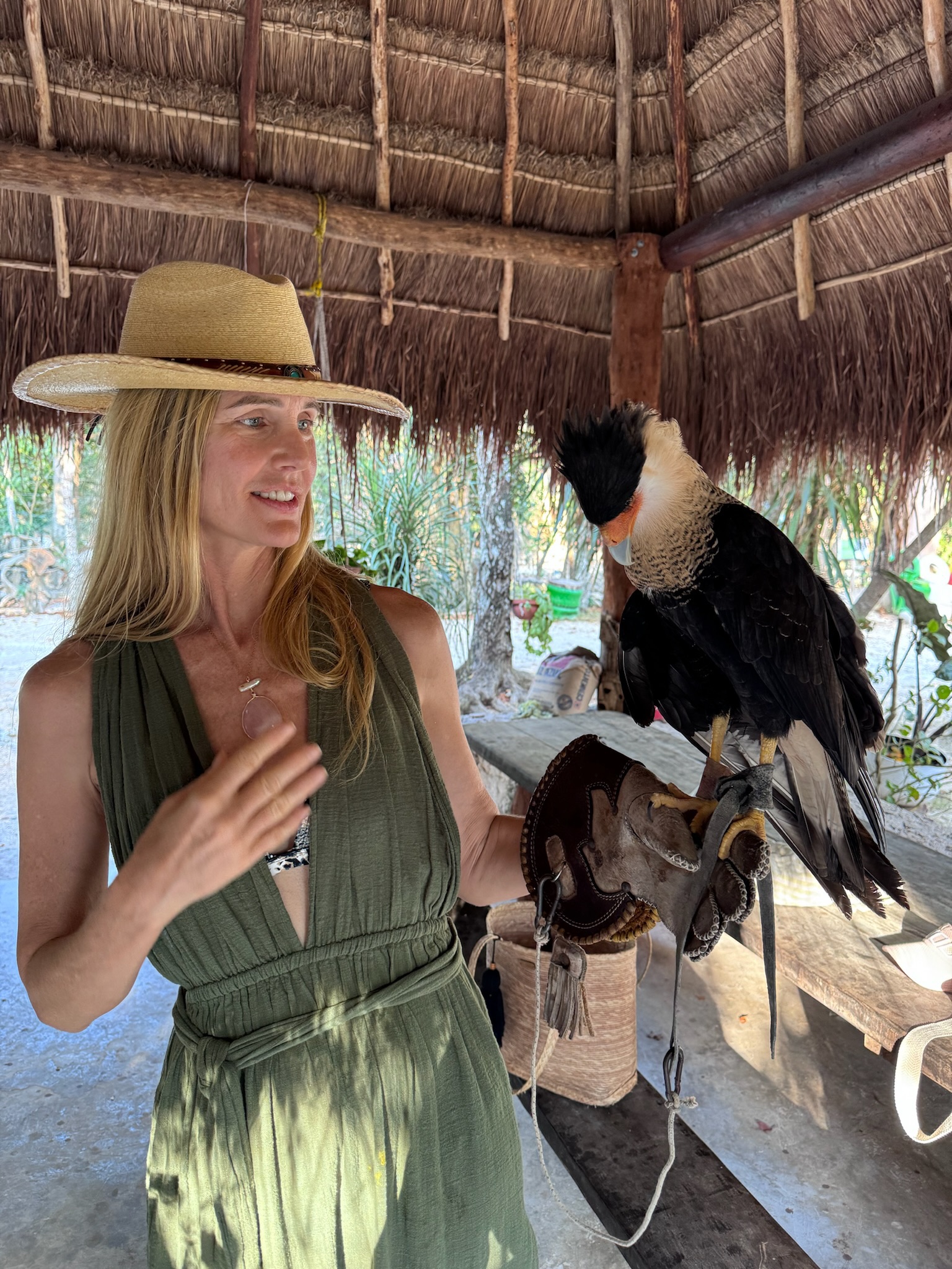 Animal rescue in the jungle