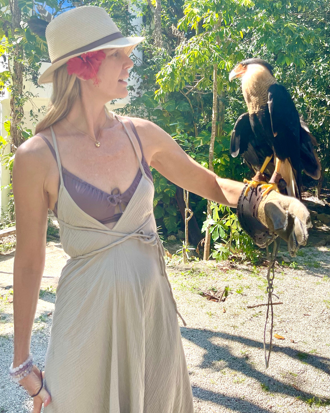Animal rescue in the jungle