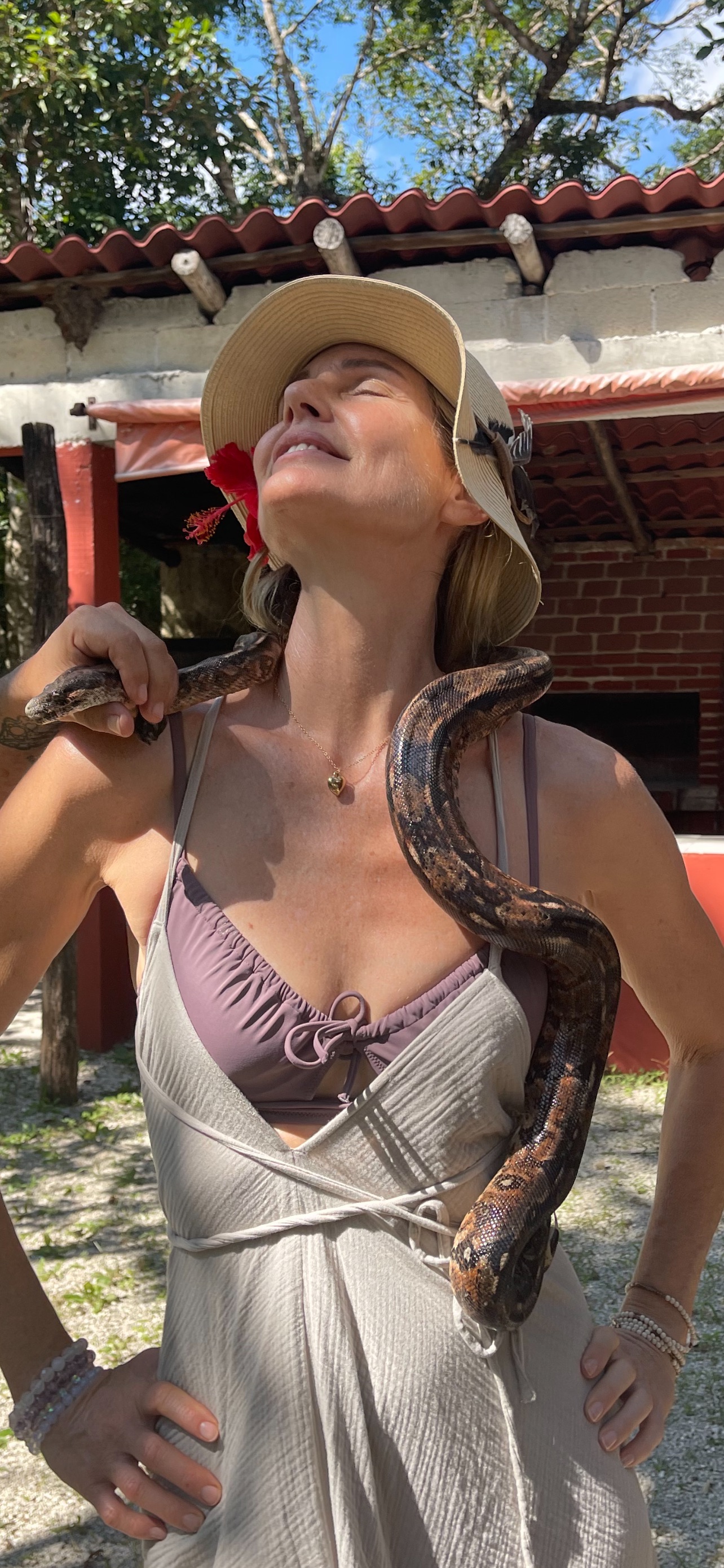 Animal rescue in the jungle