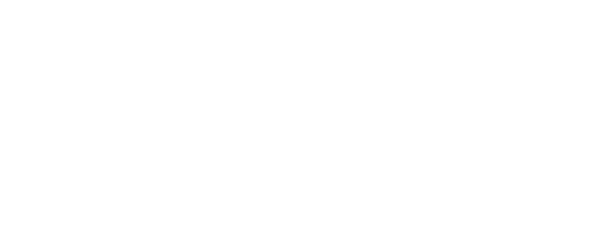Noah Starry Realtor