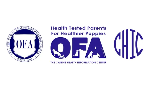 OFA and CHIC — Health Tested Parents for Healthier Puppies