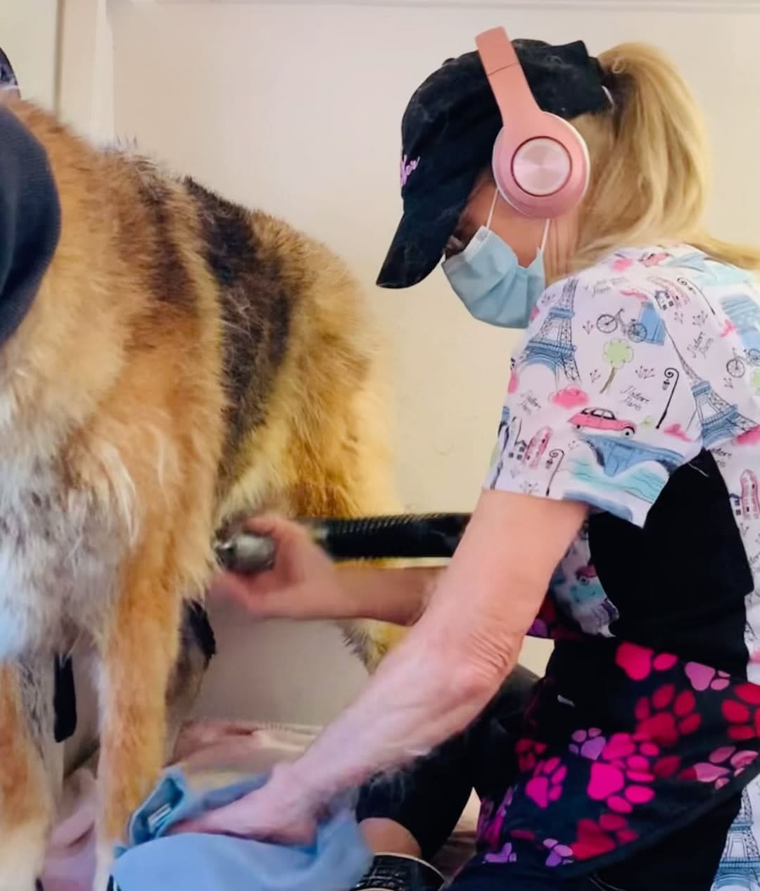 Chino Dog Skin Conditioning