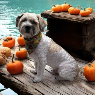 Sanitary Trims in Chino