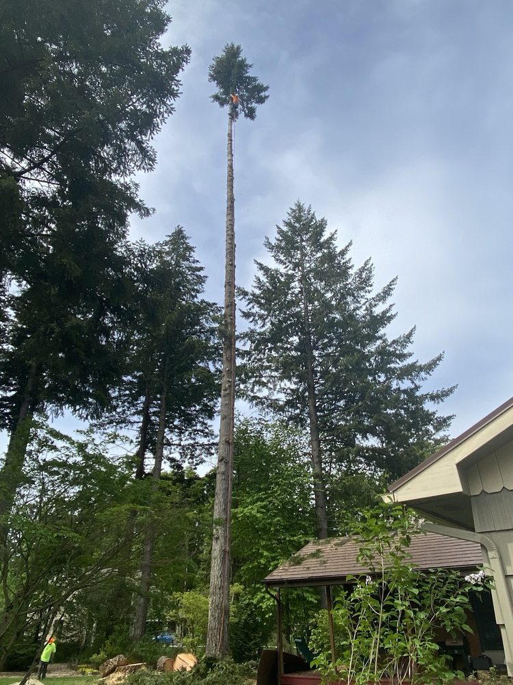 Salmon Creek Roofing Installation & Repairs