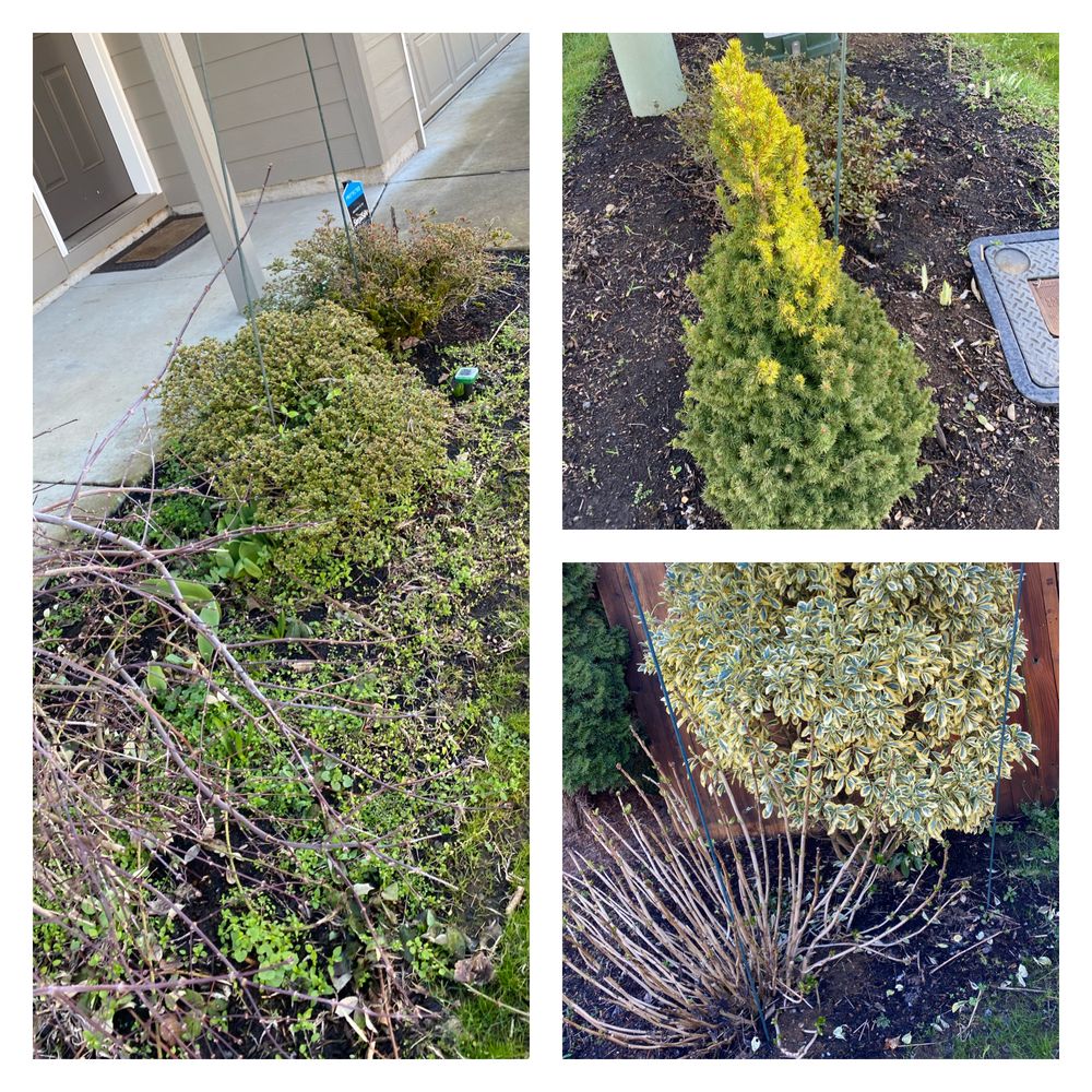 Land & Property Development Services Vancouver