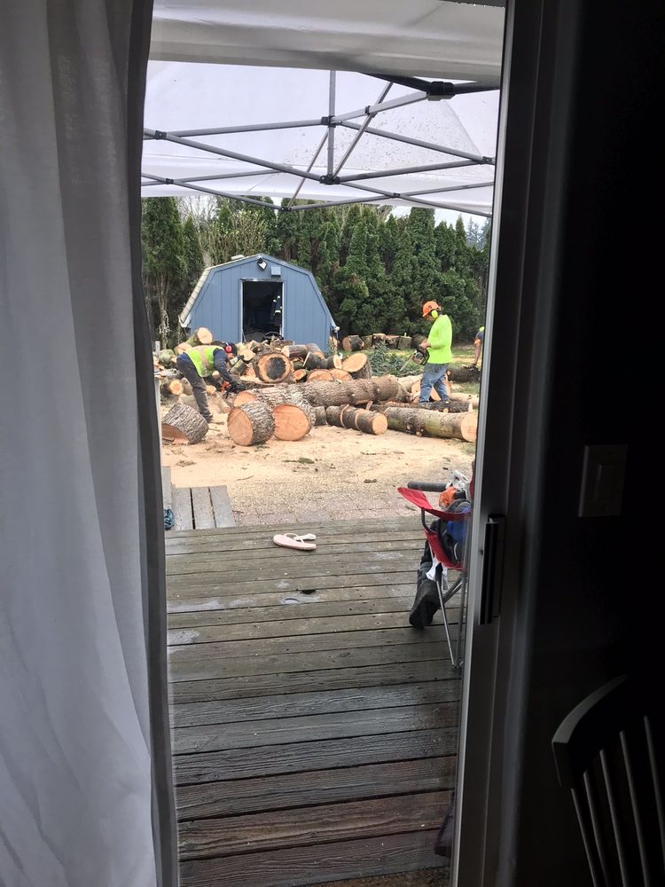 Sidewalk & Walkway Construction