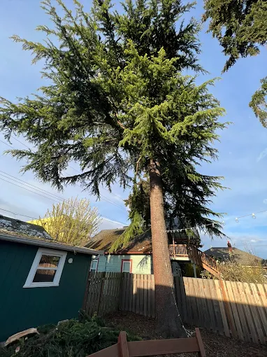 Woodland Roofing Installation & Repairs