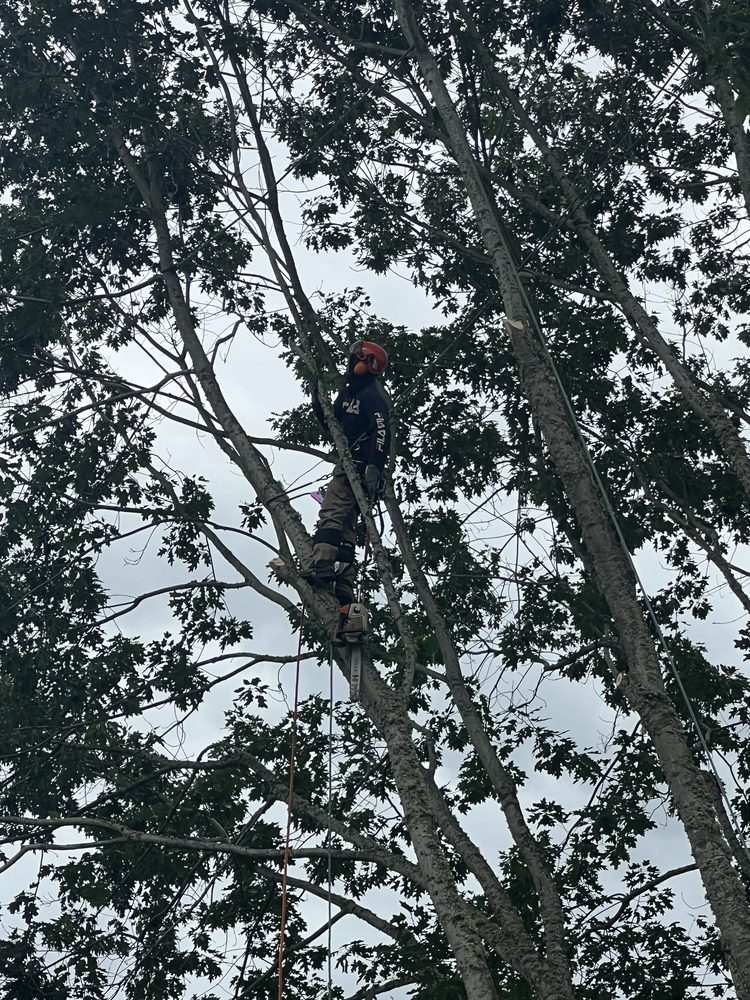Vancouver Roofing Installation & Repairs