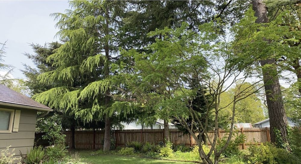 Land & Property Development Services Vancouver
