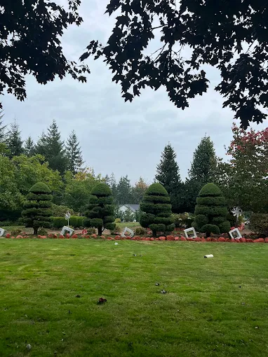 Sidewalk & Walkway Construction