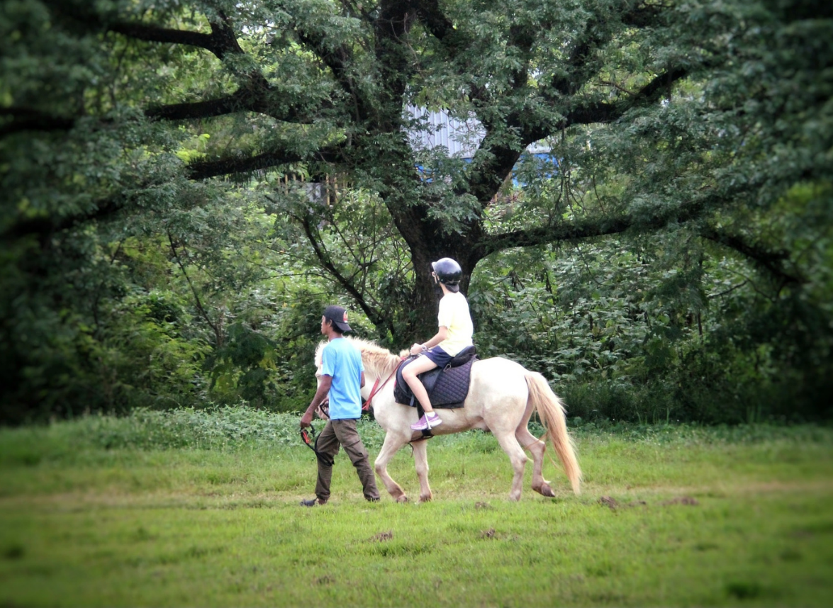 Child on a pony ride at El Kabayo