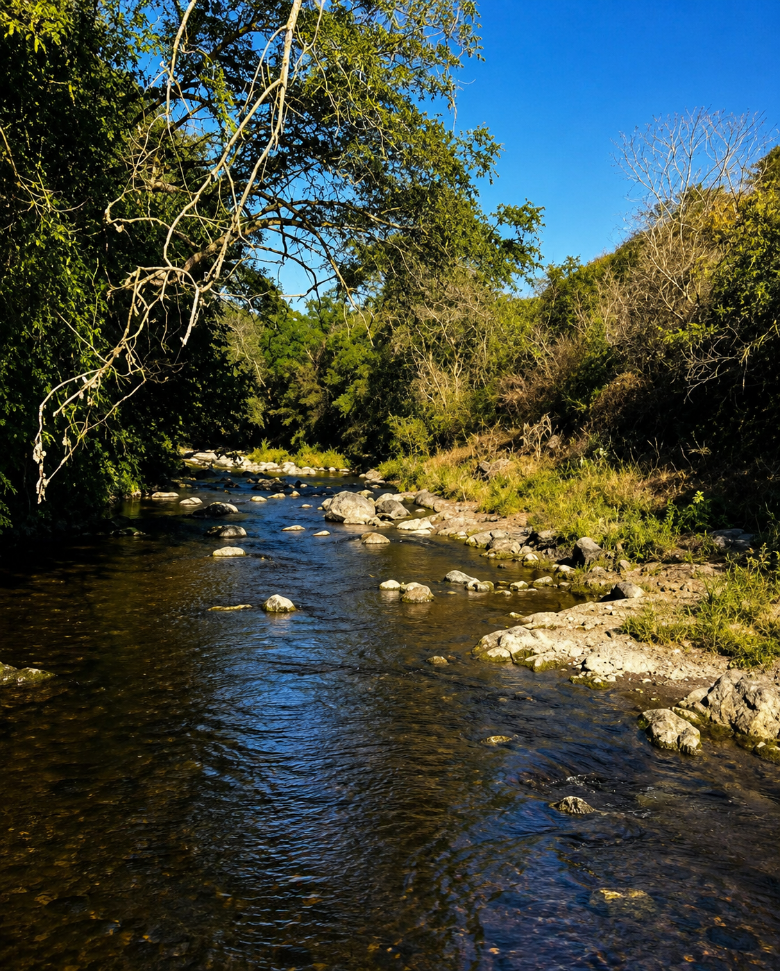 Río ubicado a un costado de Tapalehui