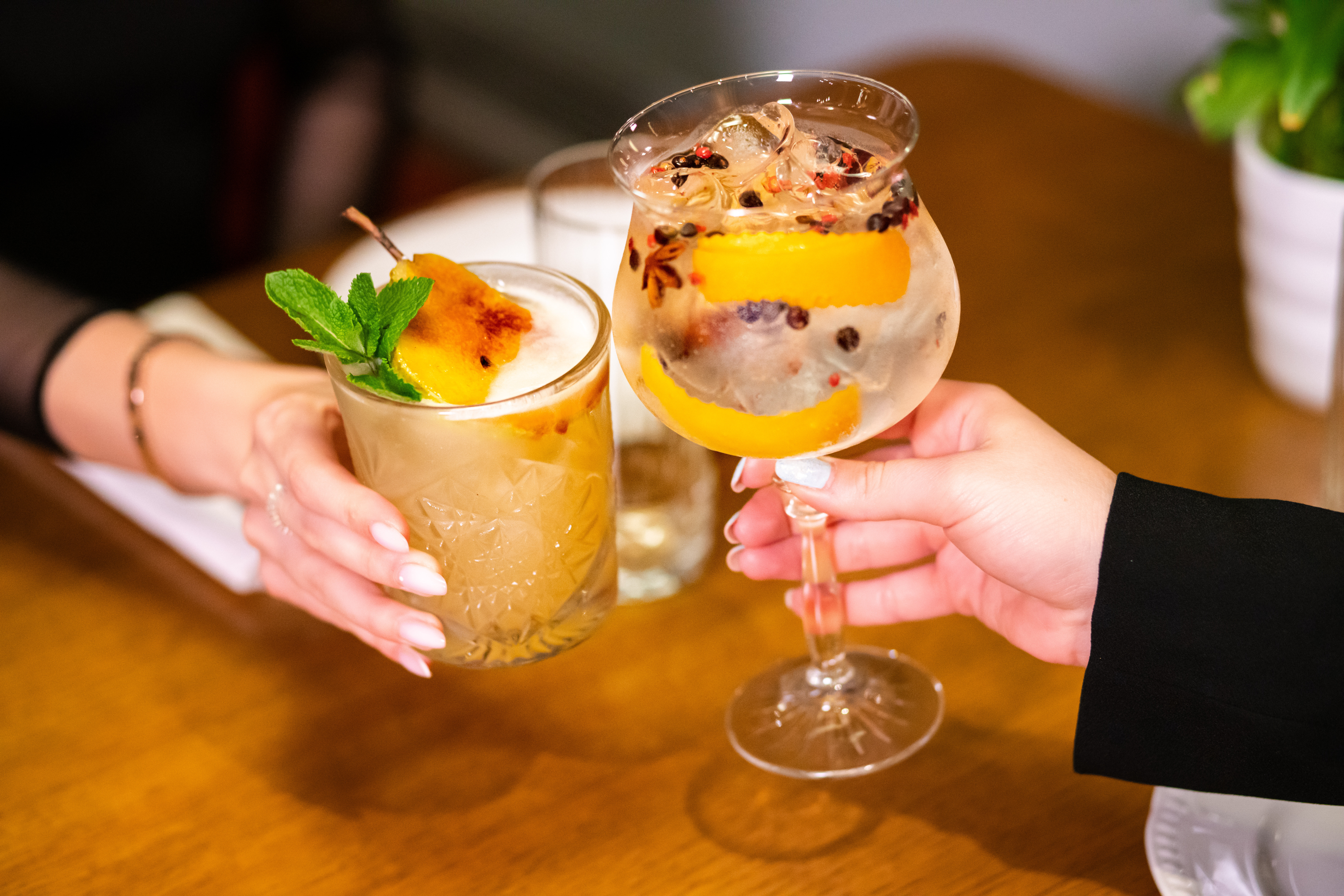 NOR Sky — elegant food presentation