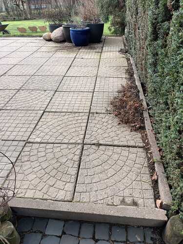 Quadratpflaster Weg entlang einer Hecke mit sauberer Fuge