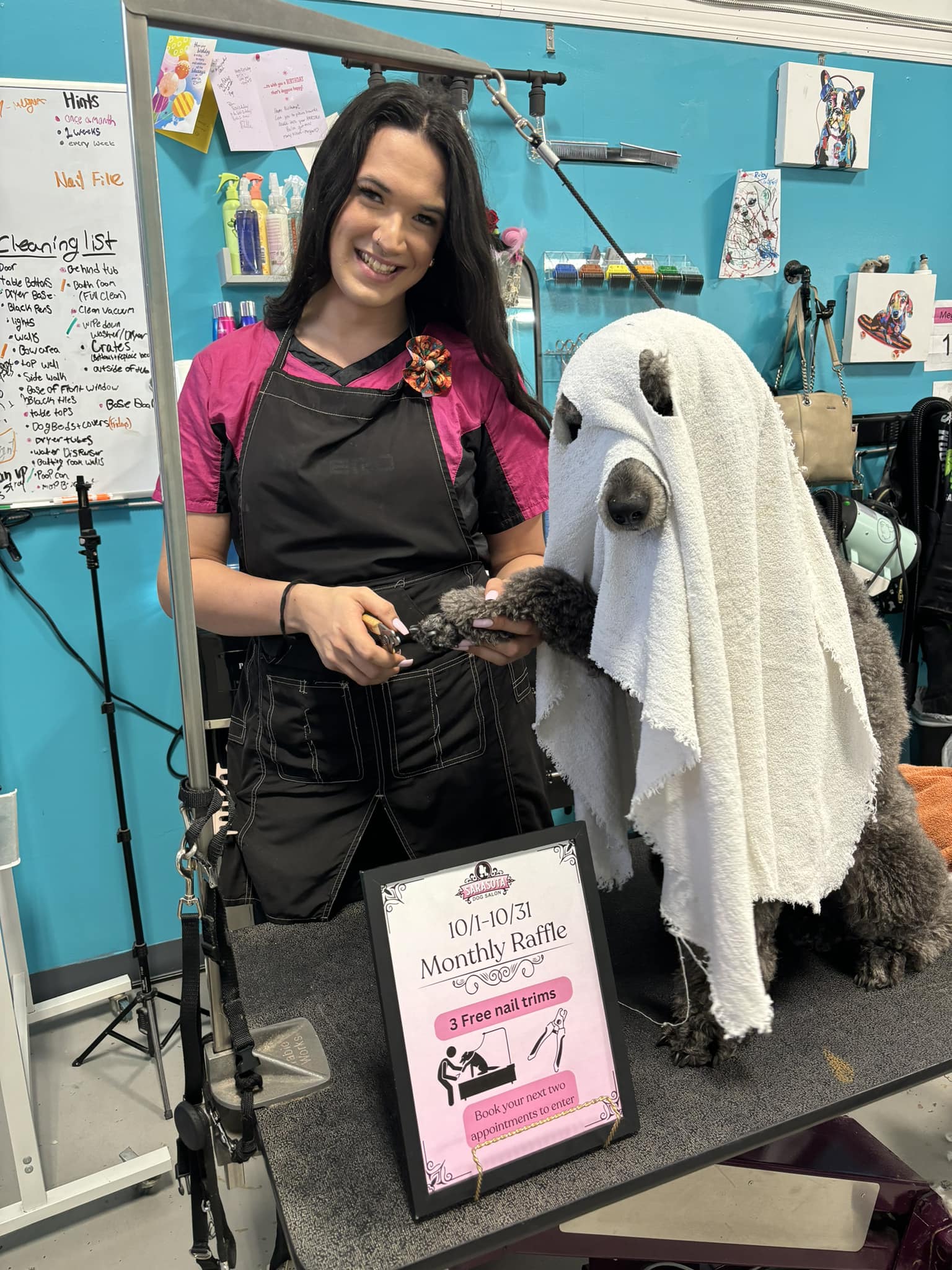 Geriatric Groom Sarasota