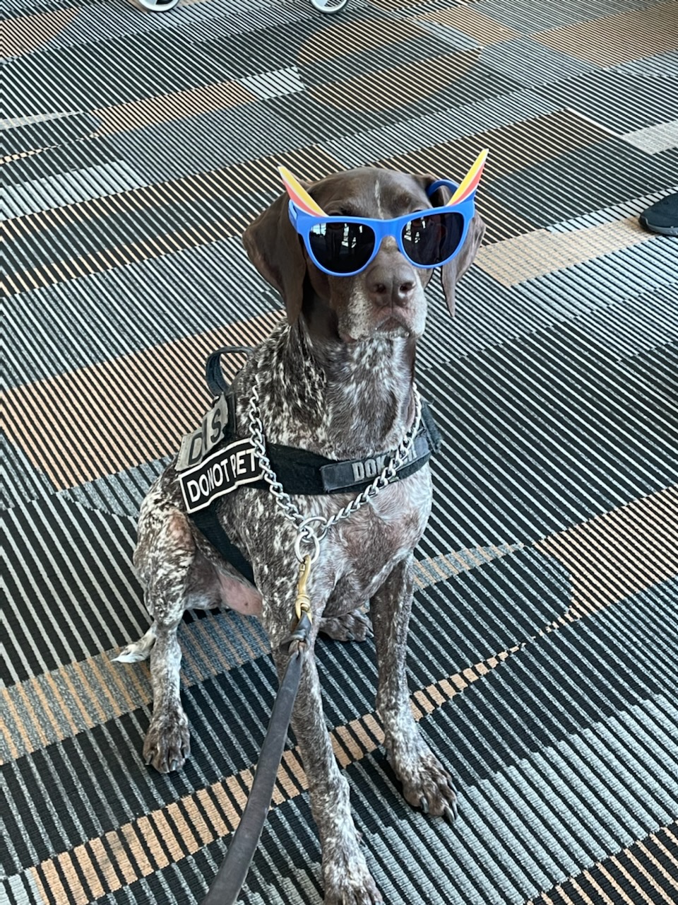 Bradenton Full Haircut Service