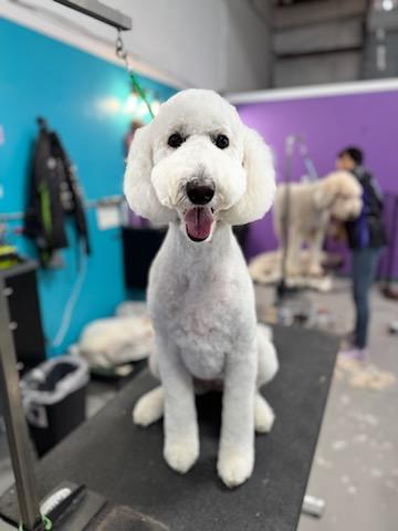 Bath & De-Shed Sarasota