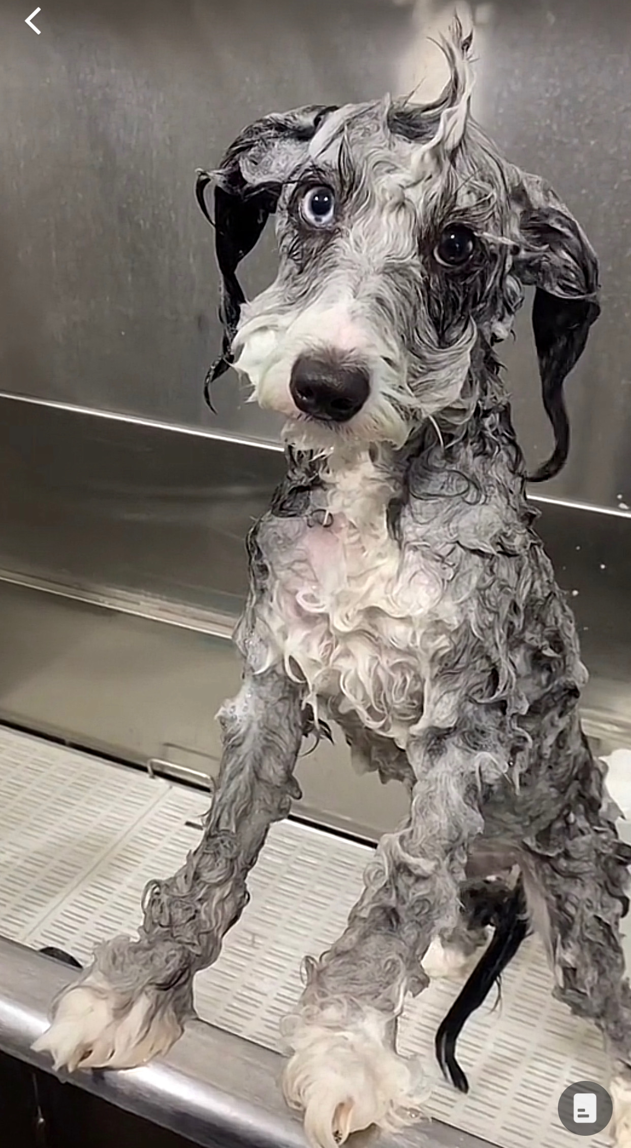 Lakewood Ranch Bath & De-Shed