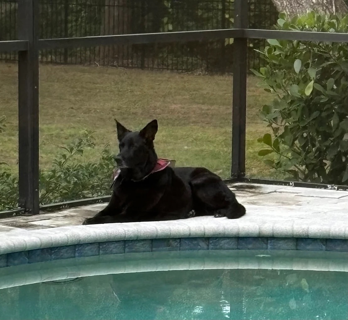 Bradenton Bath & De-Shed