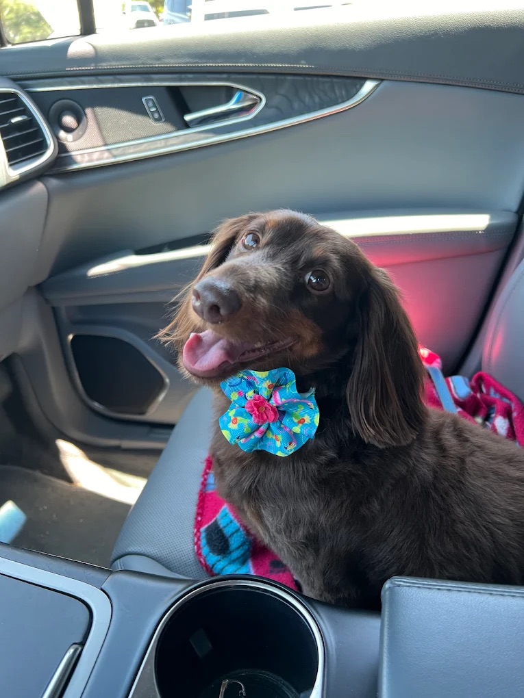 Gulf Gate Bath & De-Shed