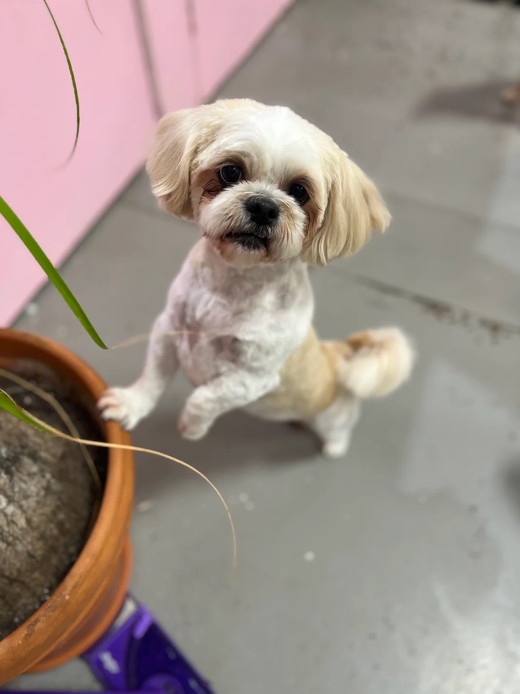 Palmer Ranch Bath & De-Shed