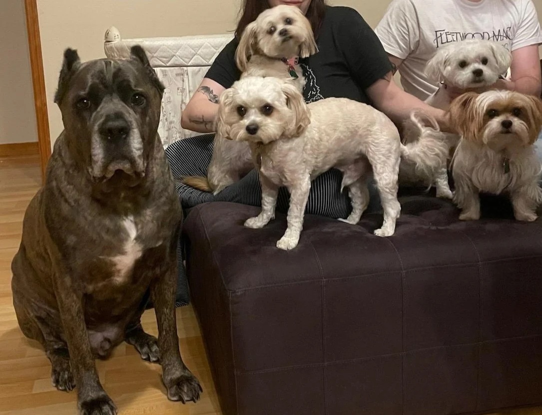 Gulf Gate Full Haircut Service