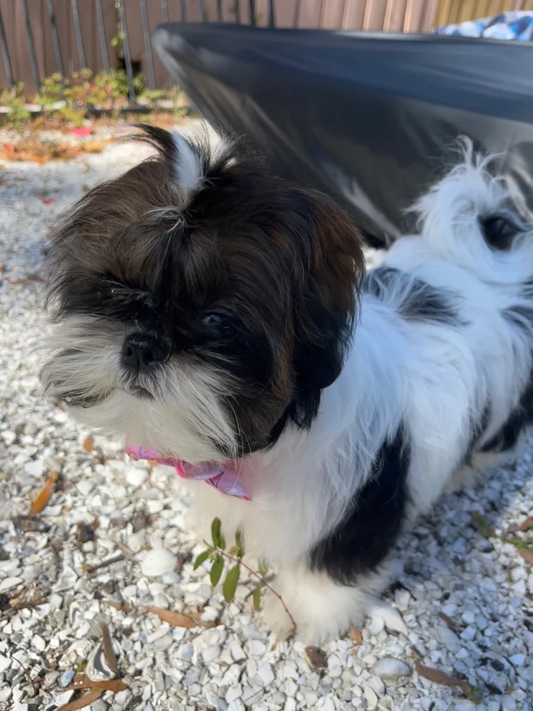 Bath & De-Shed Sarasota