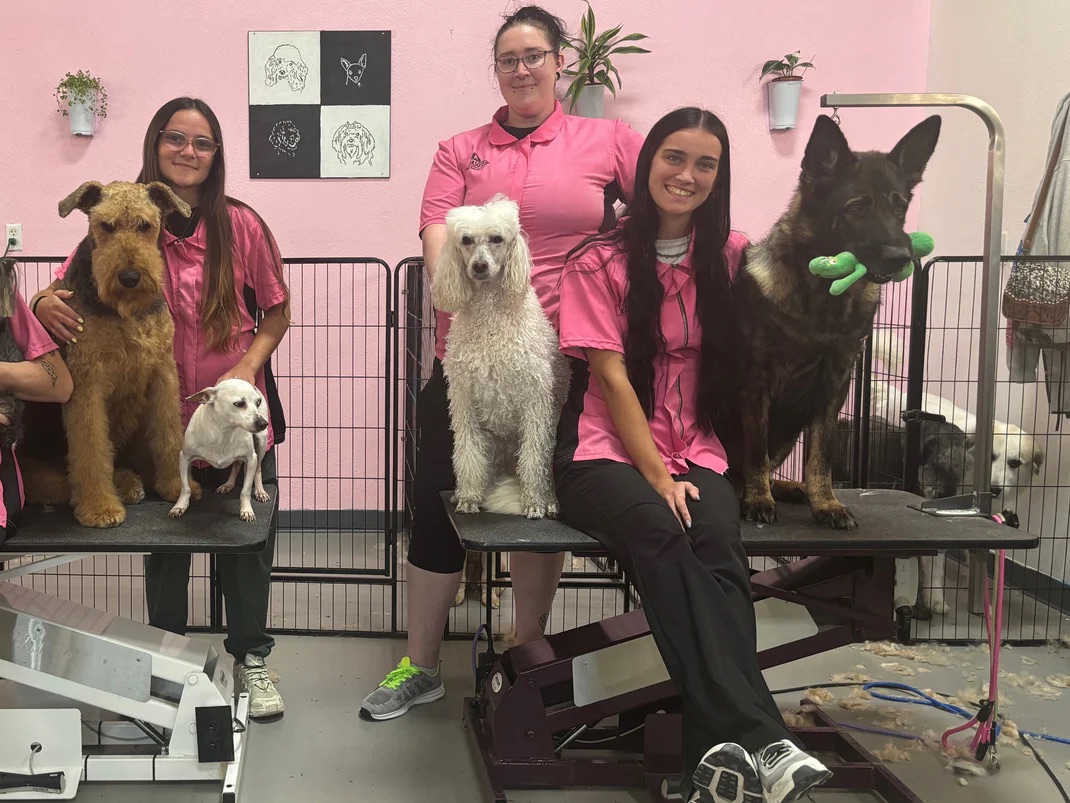 Dog Grooming Sarasota
