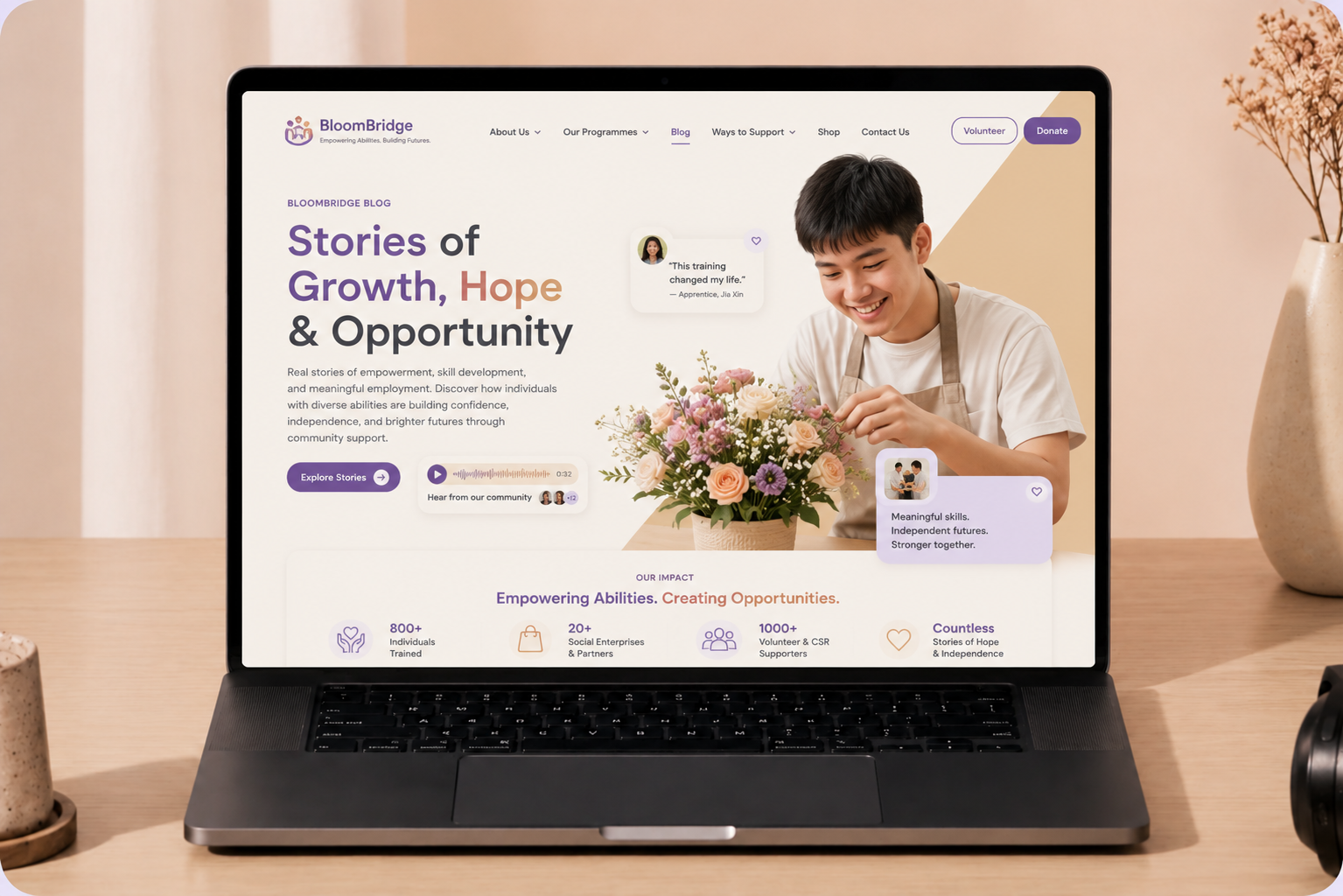 Social Enterprise, Websites