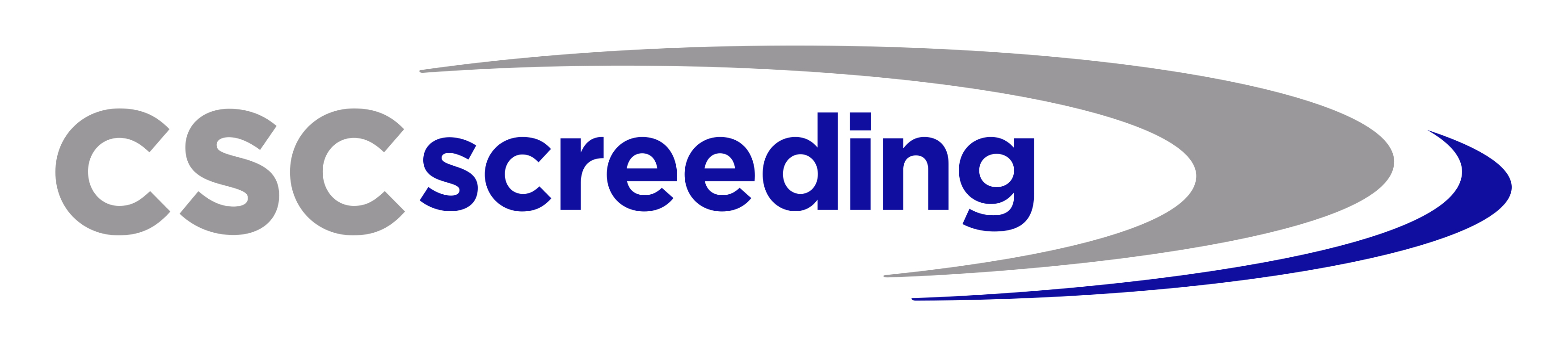 CSC Screeding logo