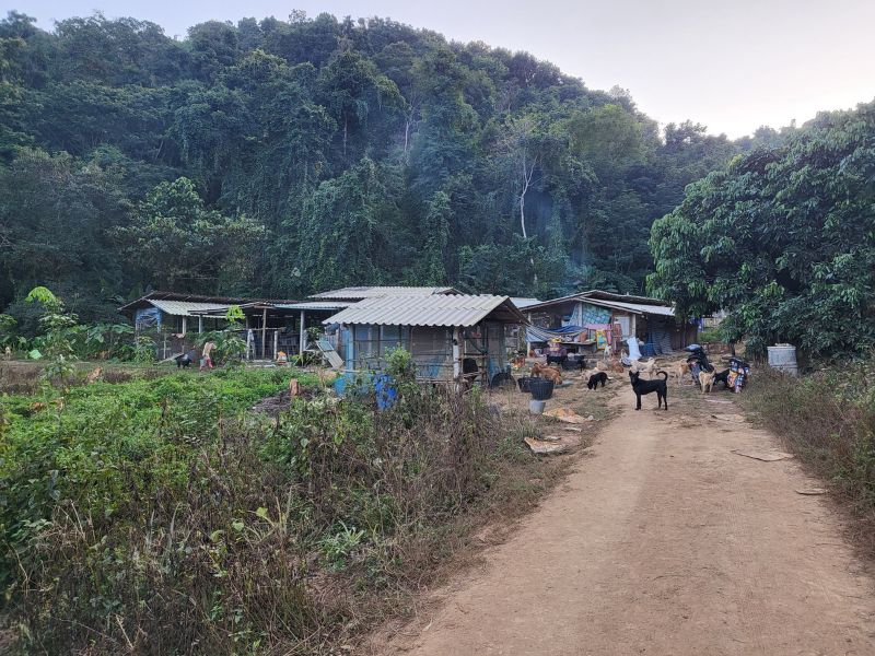 The remote animal rescue centre in rural Chiang Rai, Thailand, with simple makeshift shelters surrounded by forest. The rescue was located well outside the city, where around 130 dogs and more than 20 cats were cared for.