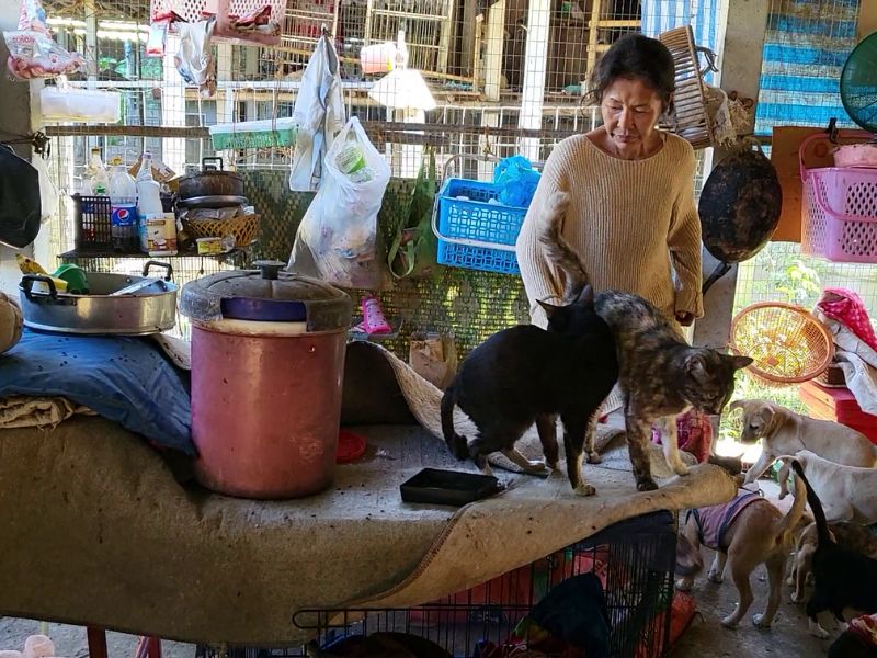 The woman who cared for around 130 dogs and more than 20 cats at her remote animal rescue in rural Chiang Rai, Thailand, standing inside the cat and small dog enclosure where she also slept each night.