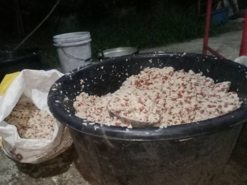 Large tubs of freshly cooked rice mixed with meat at a remote animal rescue near Chiang Rai, Thailand. The mixture was prepared daily to help feed around 130 dogs and more than 20 cats living at the shelter.