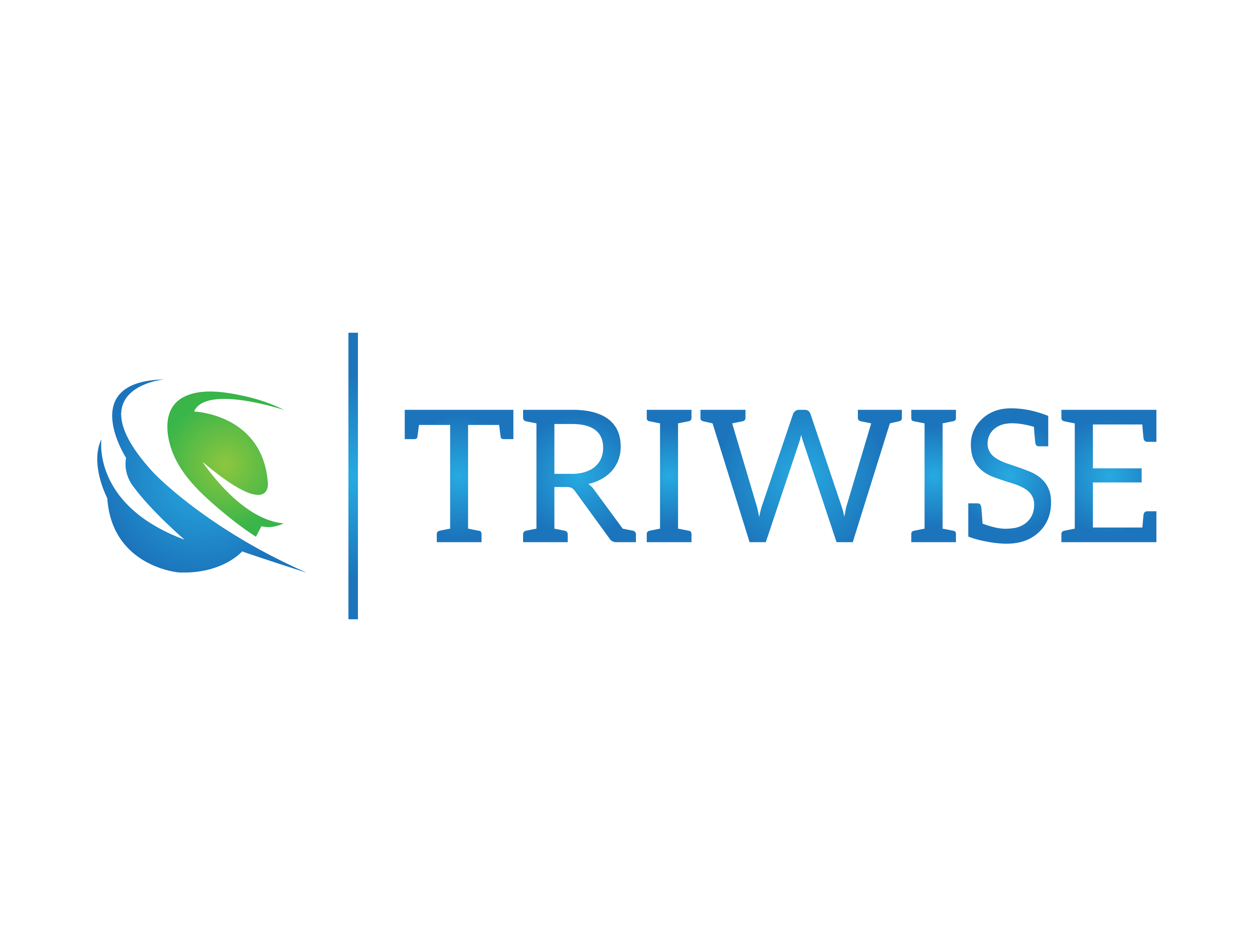 Triwise logo