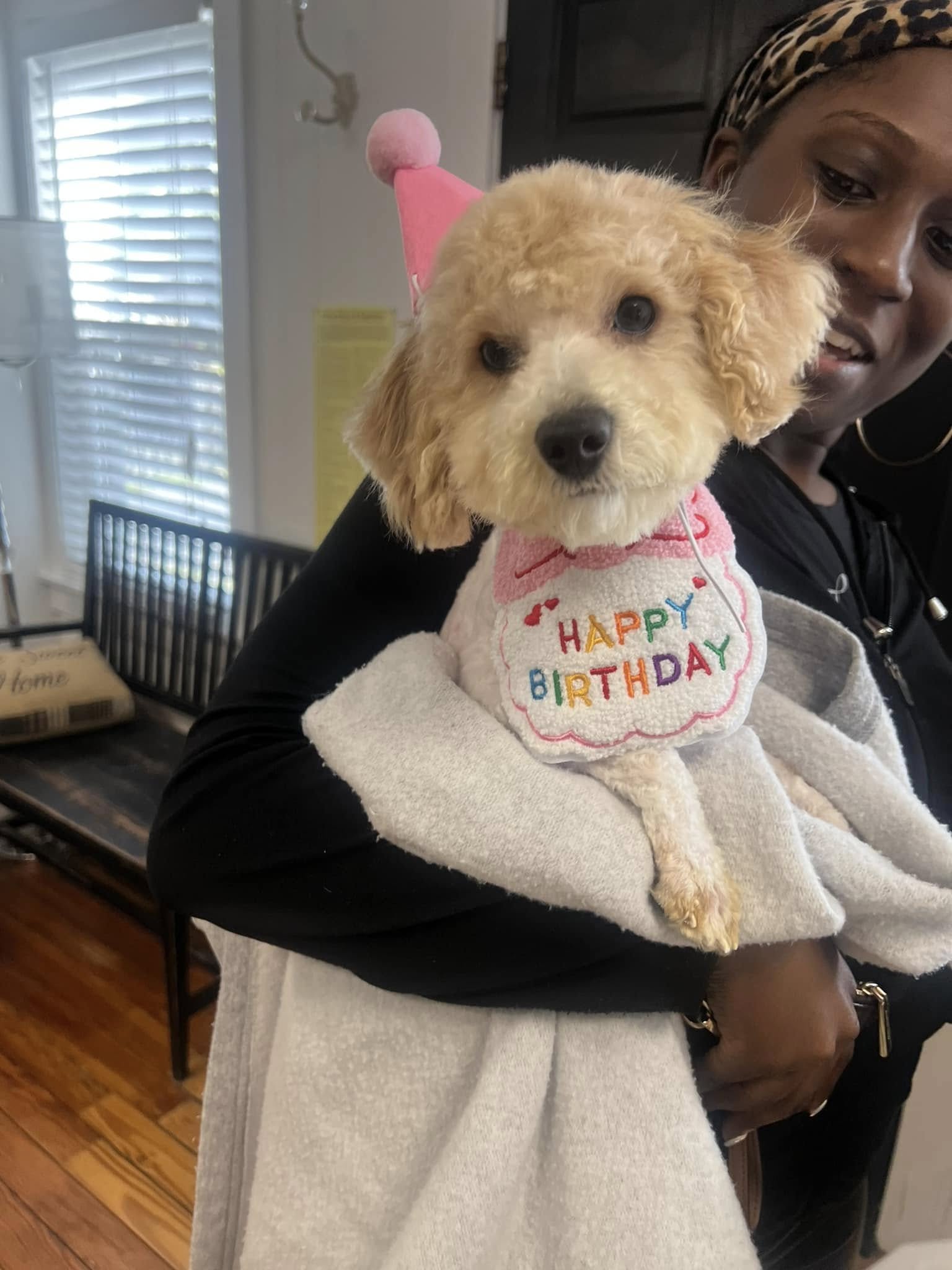 Face & Fanny Service Summerville