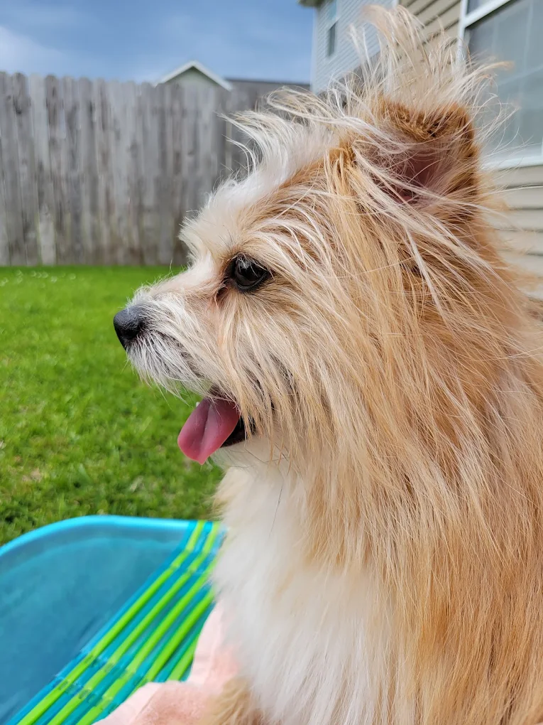 Skin Conditioning Summerville