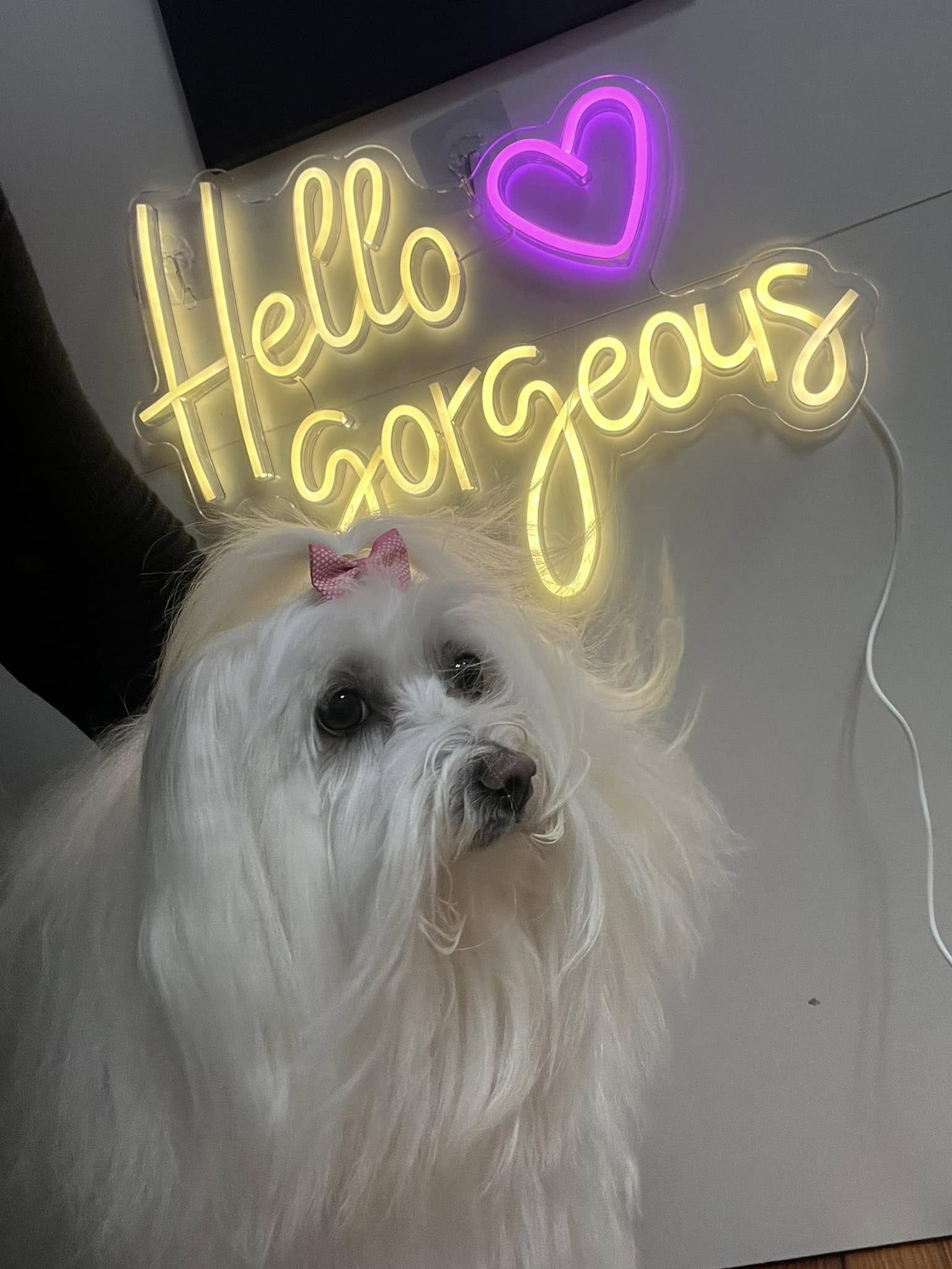 Shave Down Summerville