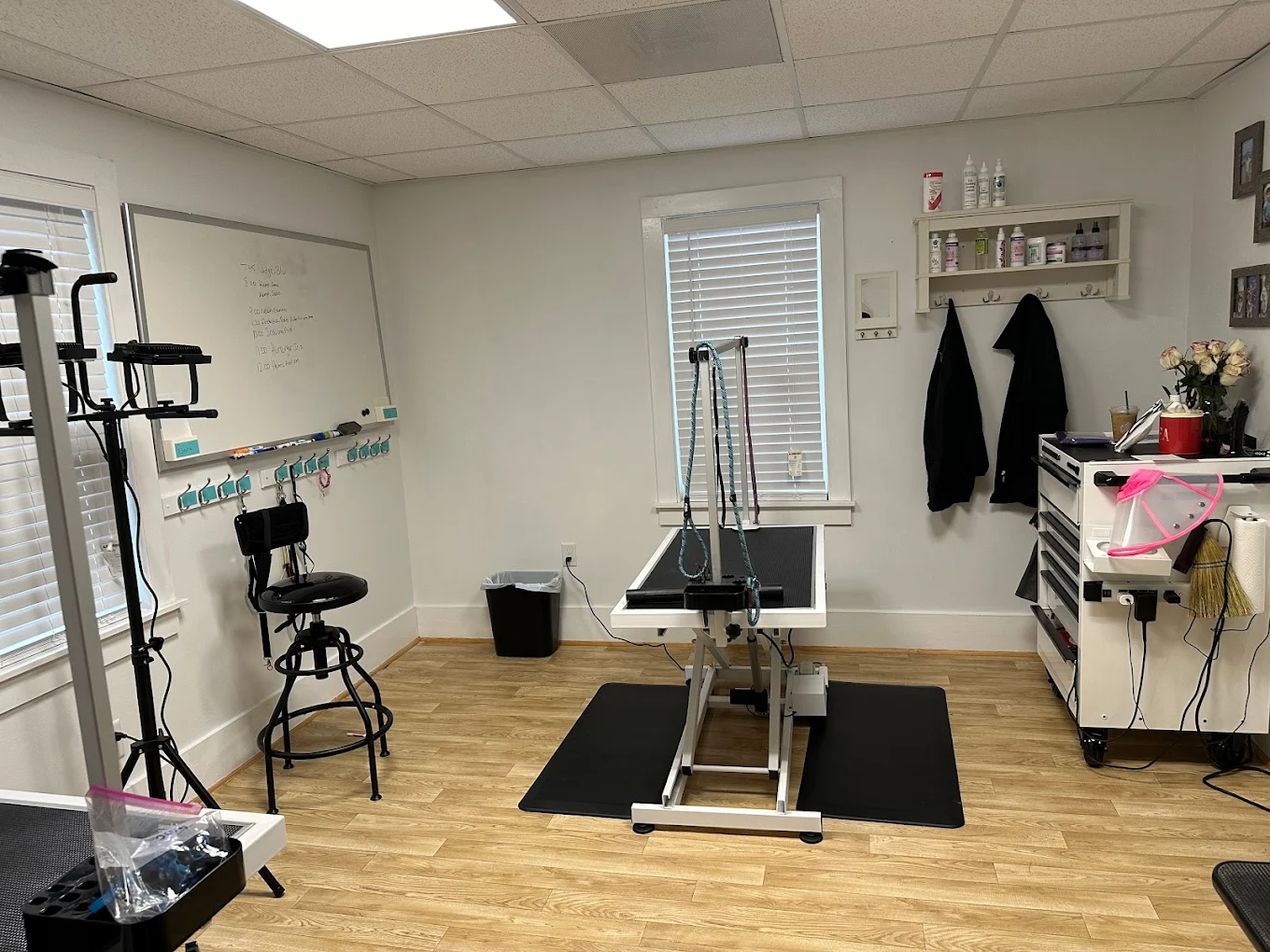 Full Dog Grooming Summerville