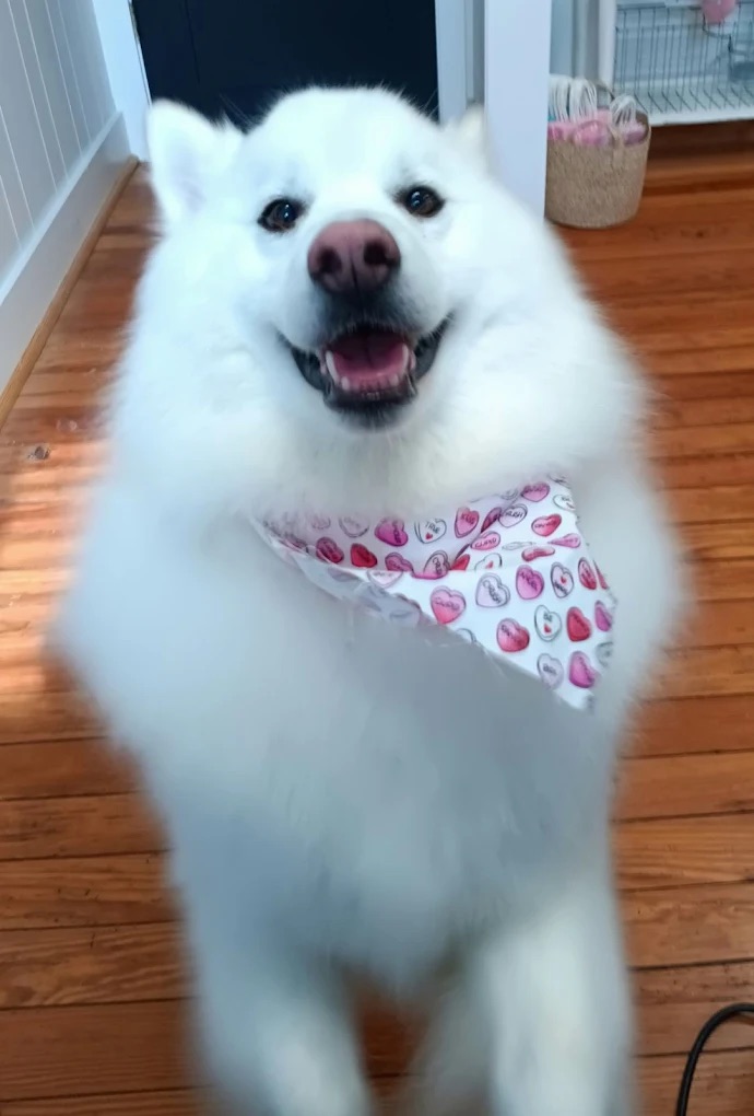 Nail Trim Summerville