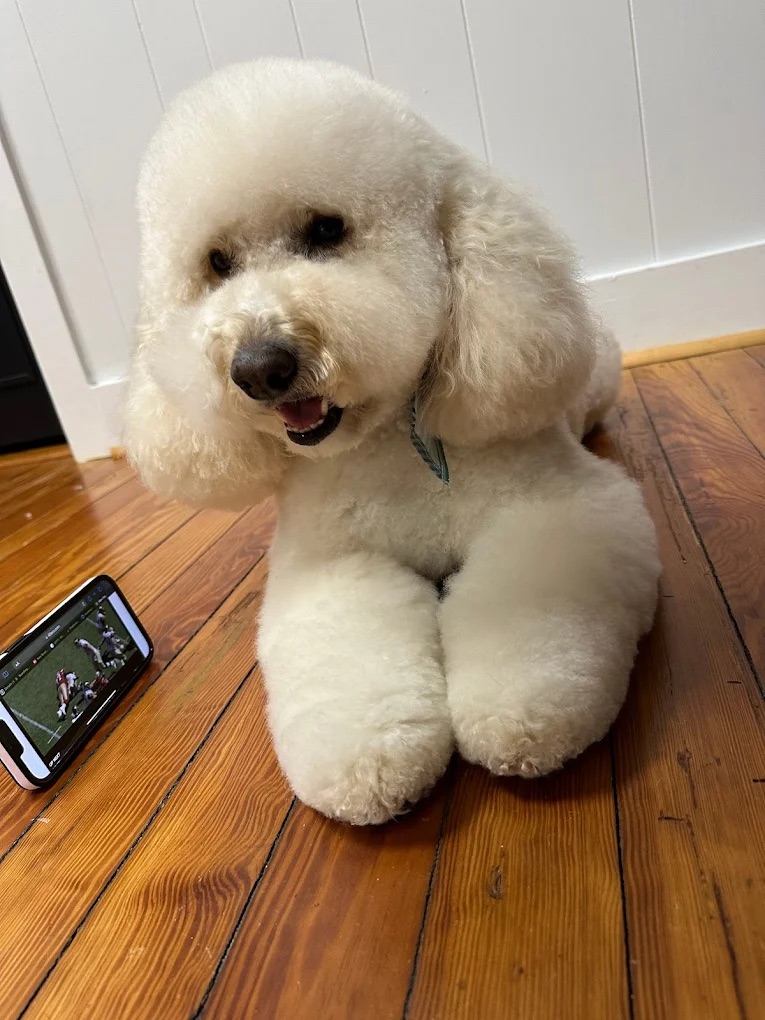 De-Matting Summerville