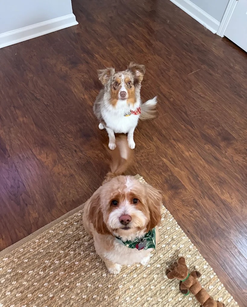 Skin Conditioning Summerville