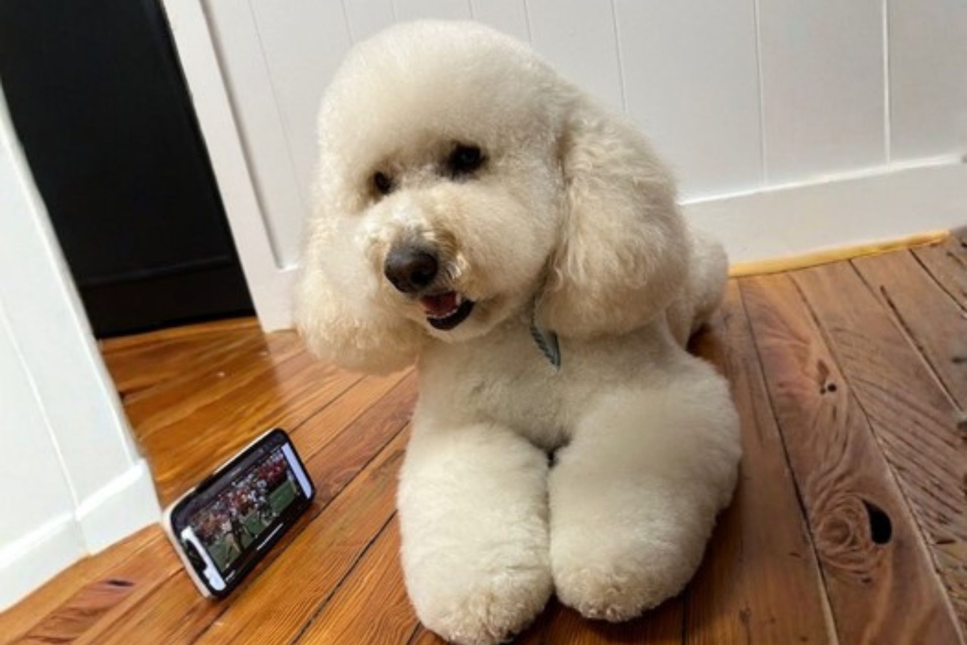 {{ custom_values.service_1 }} in {{custom_values.biz_area_1})