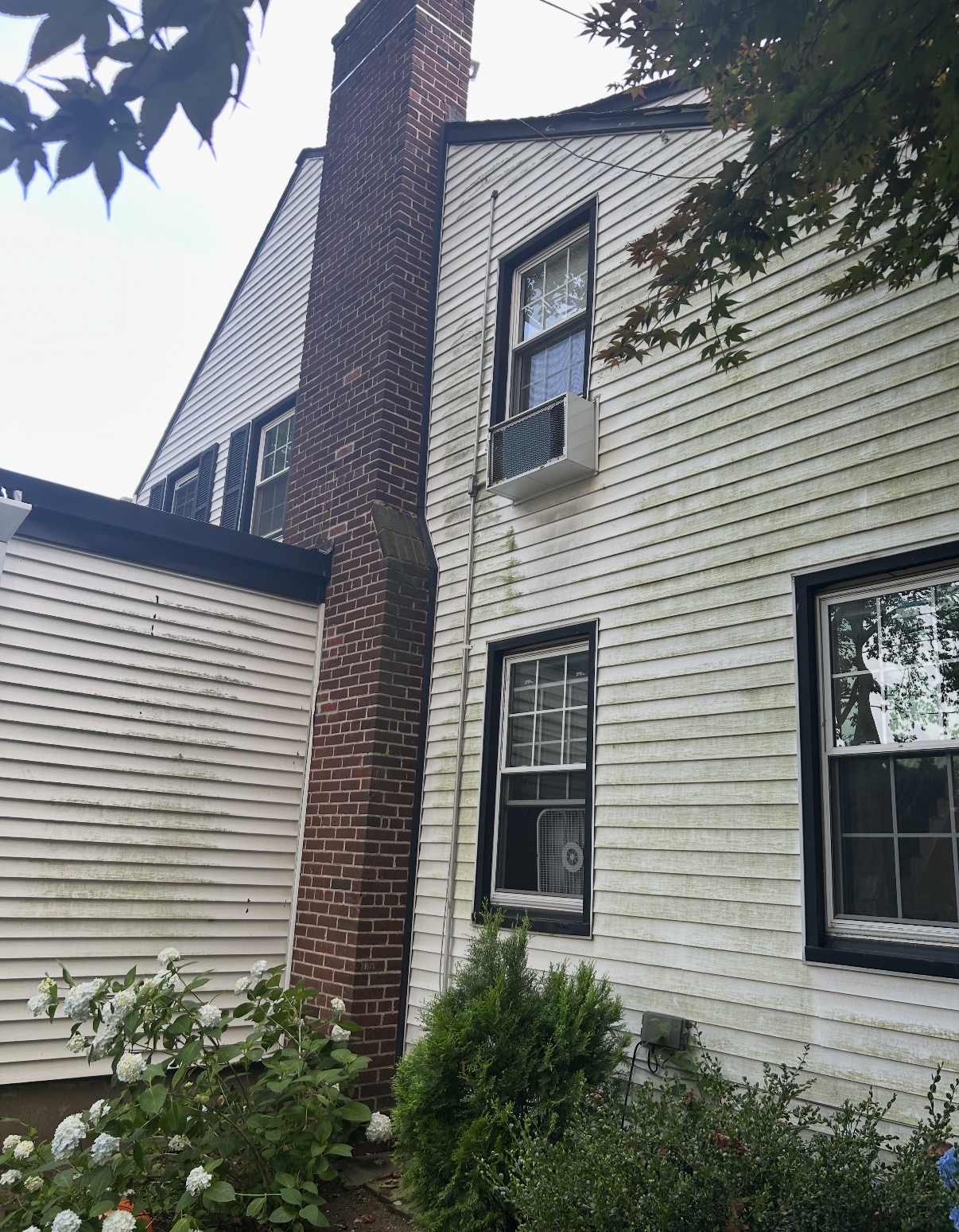 Before: green algae staining across the vinyl siding of a colonial in Stewart Manor.