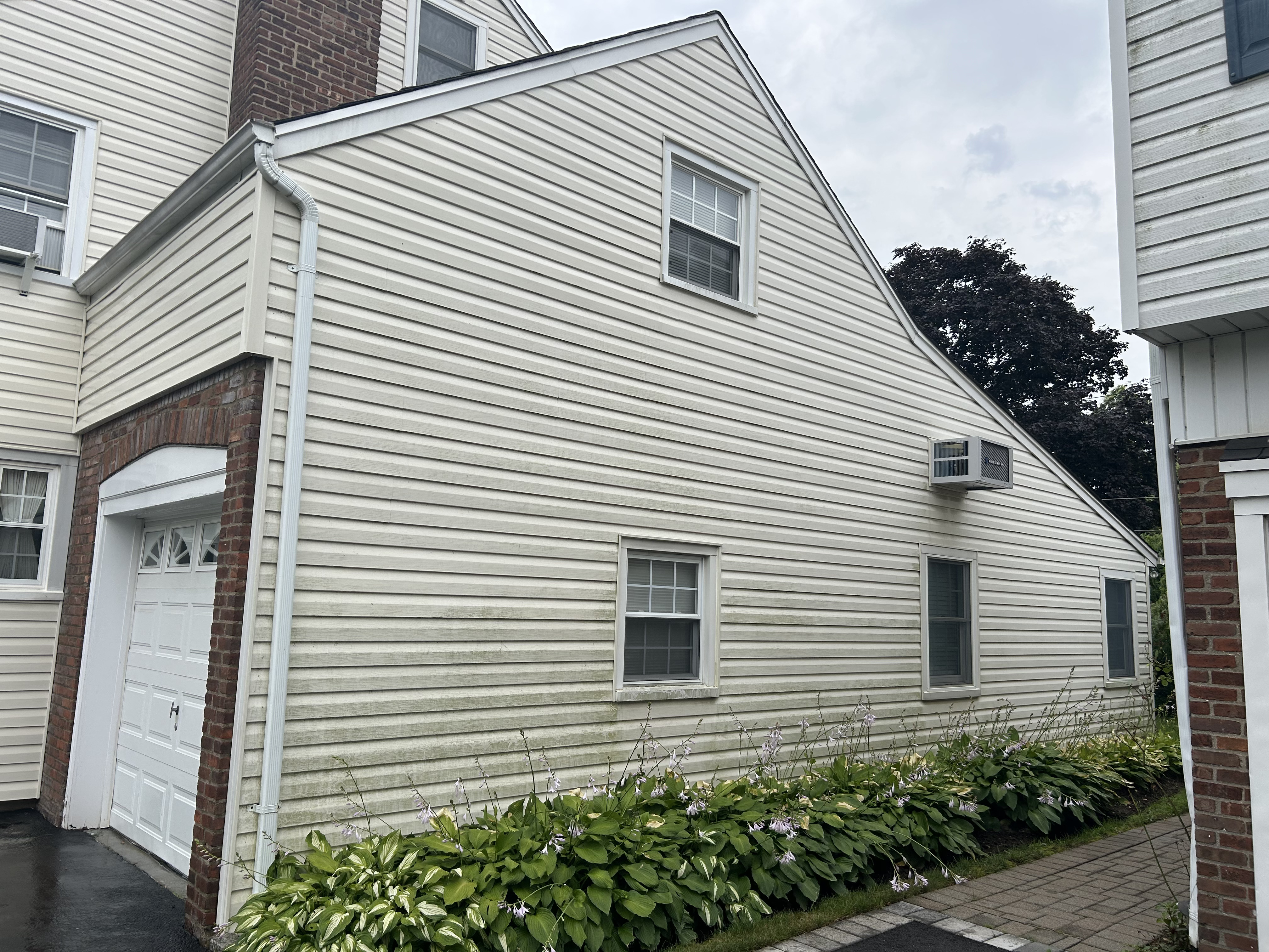 Before: algae staining across the siding of a colonial in Garden City.